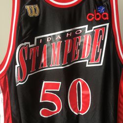 Idaho Stampede CBA team issued pro cut player jersey WILSON for Sale in Los  Angeles, CA - OfferUp