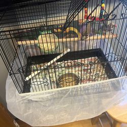 bird cage medium