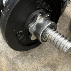 Adjustable Dumbbell Set