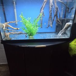 Fish Tank and Stand 35 Gal