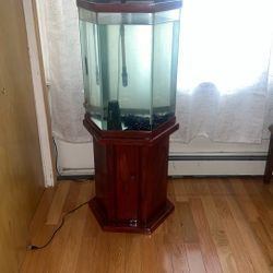 Fish Tank
