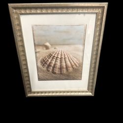 vintage framed seashell print