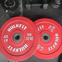 45lbs Bumper Plates Olympic Size 2inch Hole Weight Plates Weightlift Excercise Workout Bench Press Deadlift Squats 