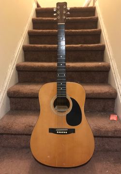 Horner acoustic guitar