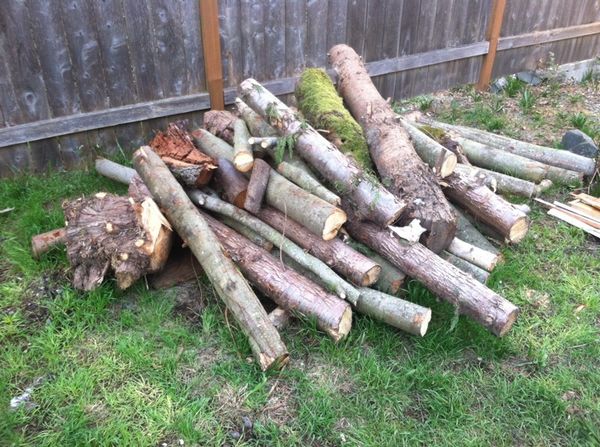 Firewood! Fire. Wood. $0 OBO. FREE! for Sale in Tacoma, WA ...