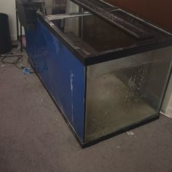 Hundred gallon tank