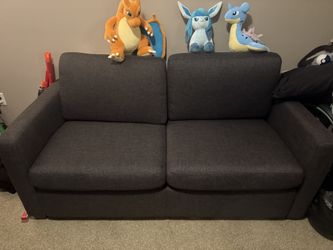 Pull Out Couch