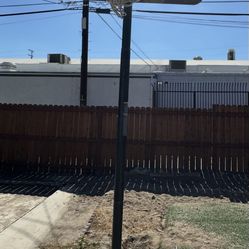 Lifetime Basketball Hoop 