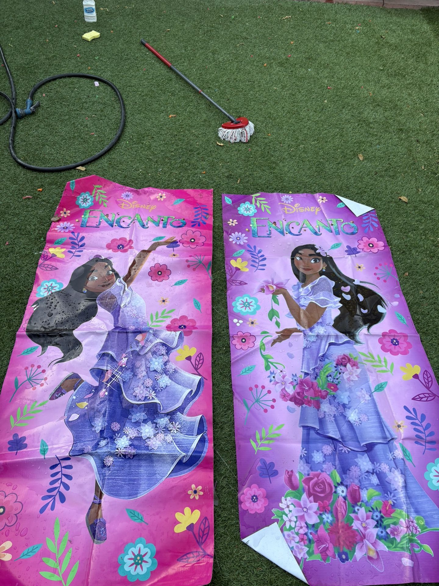 Encanto Isabella Backdrops