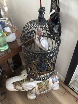 bird cage with a fake  parrot  