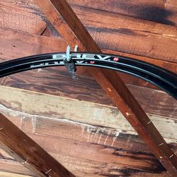 Bike Rims