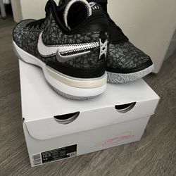 Nike ZOOM LEBRON NXXT GEN