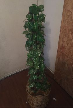 Fake plant