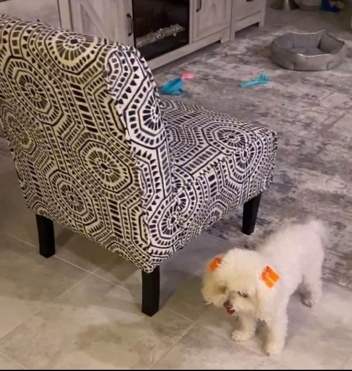 Chair With Matching Ottoman 