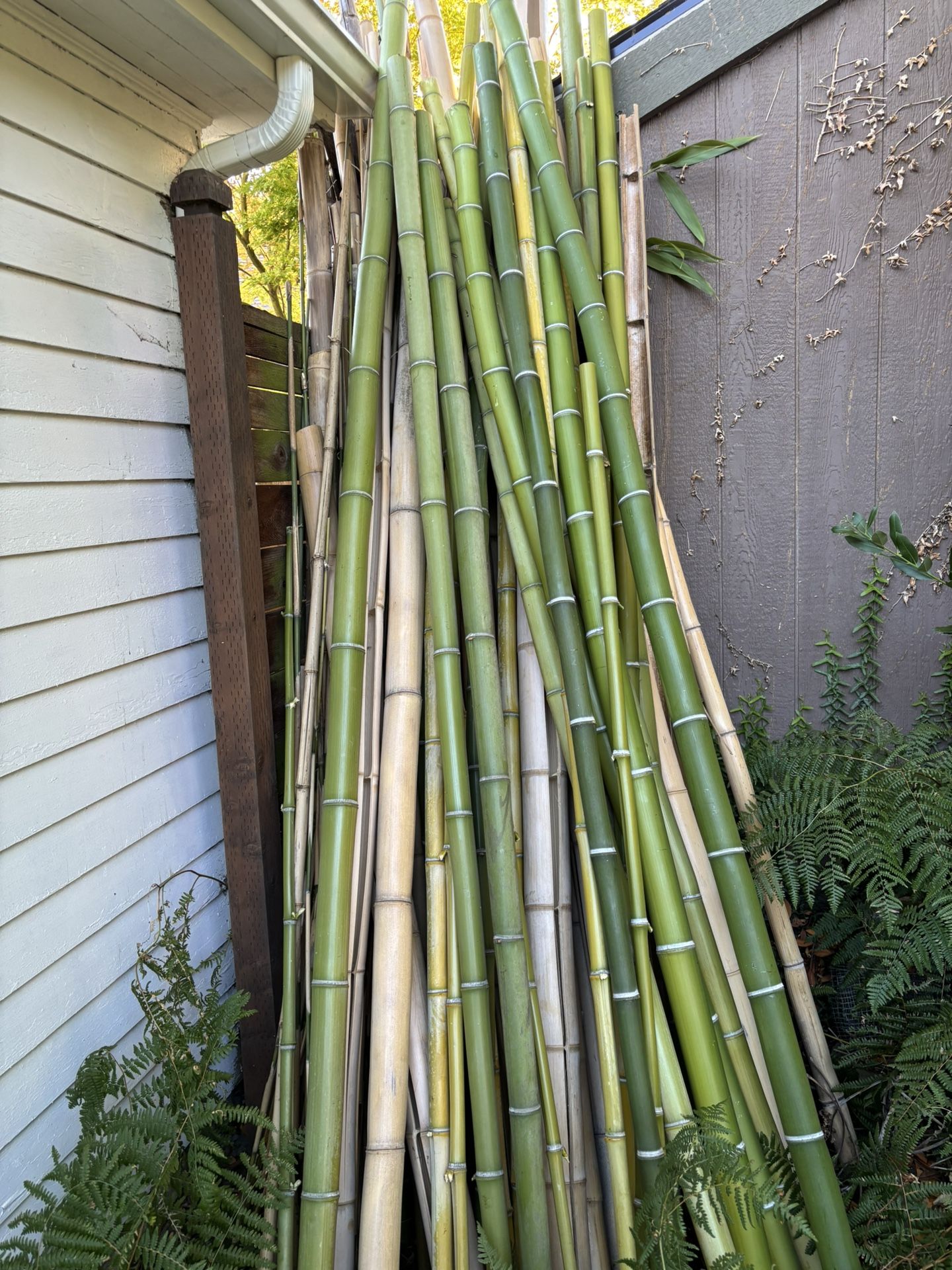 Timber bamboo poles