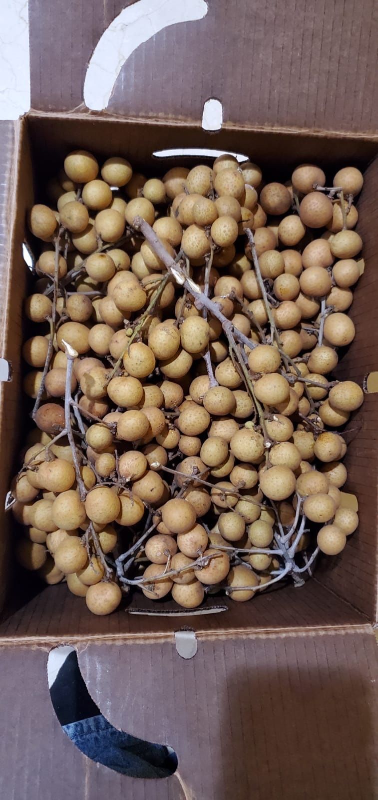 Longan $5