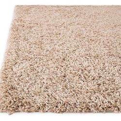 Carpets (4): Solid Shag; Navajo Décor Throw; Pure 5x8 Wool; Wool Maroon Décor Throw