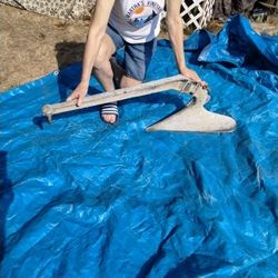 57# Stainless Steel Plow Anchor 42-50' Boat