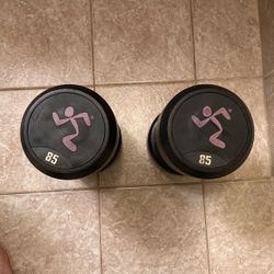 85 Lb Dumbbell Pair 