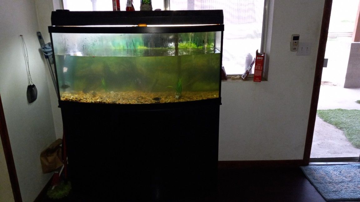 Fish Tank With Stand. 70 Gallons
