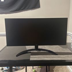 LG 29” UltraWide Monitor 