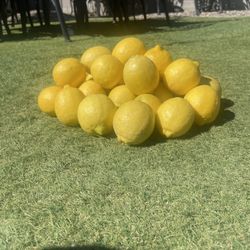 Fresh Organic Lemons