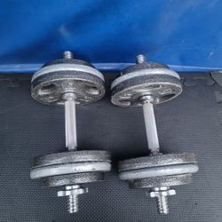 29lbs Dumbells Weights 