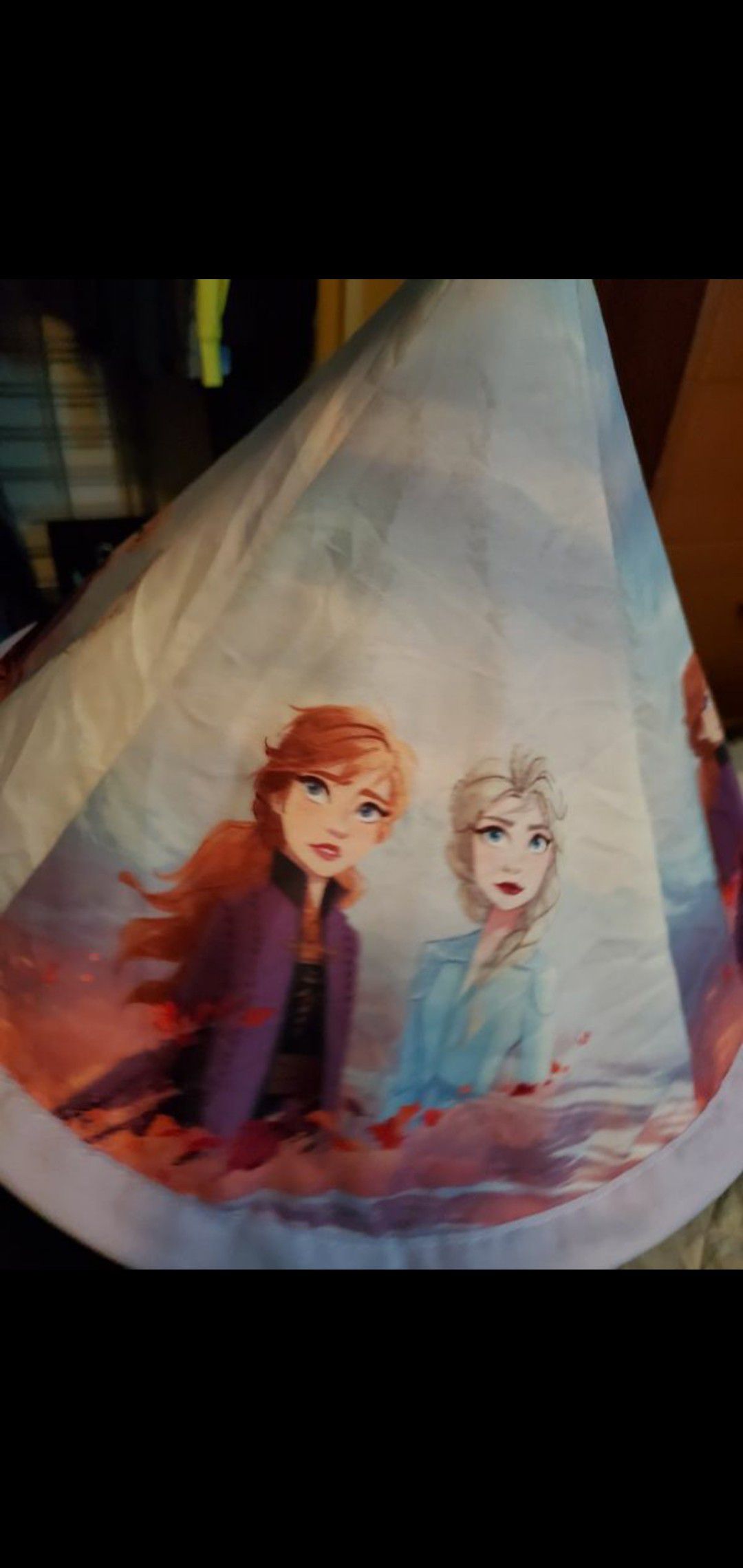 Free frozen bed canopy