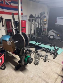 Gilds Gym Squat and Bench, Olympic Weights, Dip Station