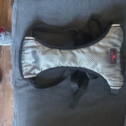 Dog Harness