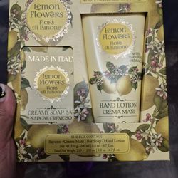 Creamy Lemon Hand Soap And Hand Lotion