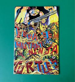 Teenage Mutant Ninja Turtles #34 (Mirage Studios September 1990) VTG Comic Book