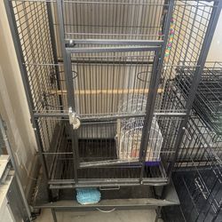 Bird cage