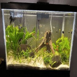 something form Ready Aquarium Setup - Explore Amazing Water Life