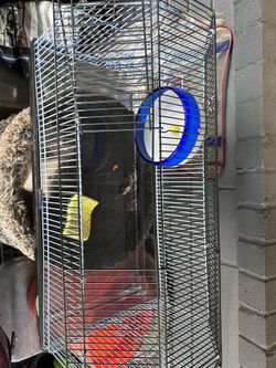 Hampster/rat cage