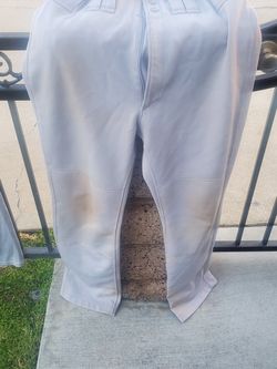 Baseball Pants
