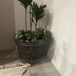 Decorative Flowers Pot