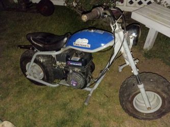 Mini bike
