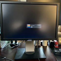 Dell 1909 W Monitor