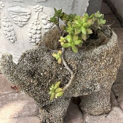 Vintage Planter Chattahoochee Elephant Pot With Succulents