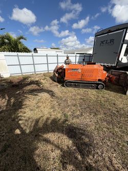 Stump grinder moledora troncos raíces árboles palmas trees palms stumps