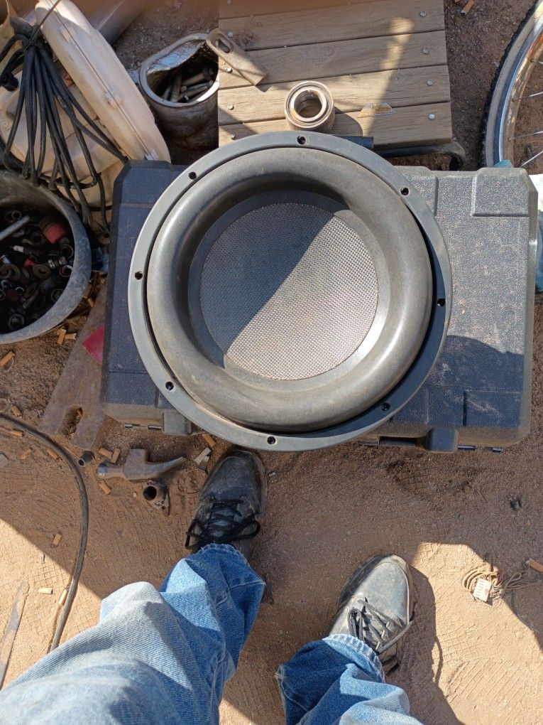 12" GONZO Sub