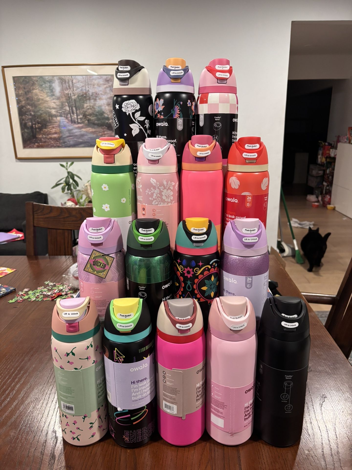 32oz Owala Water Bottles