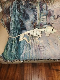 Skeleton Doggie