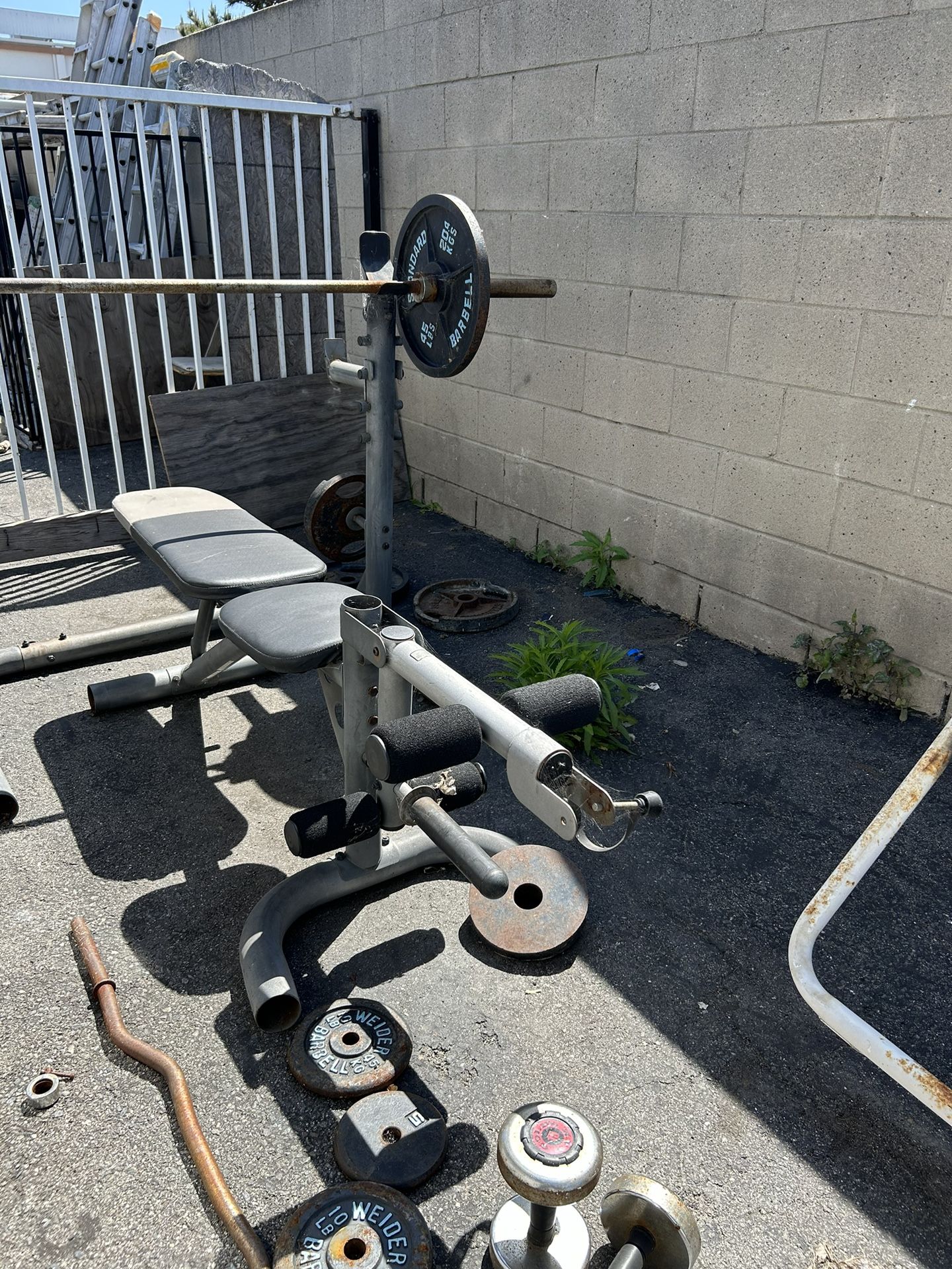 Weights / Adjustable Bench Set Up 