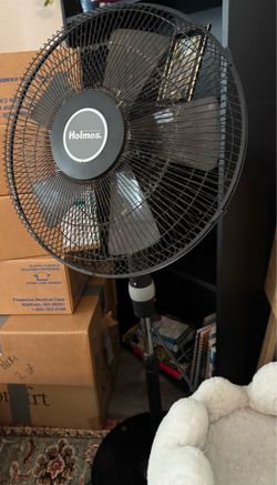 Fan- Moving need gone by 9/29