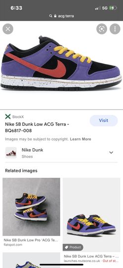 Nike sb dunk lows