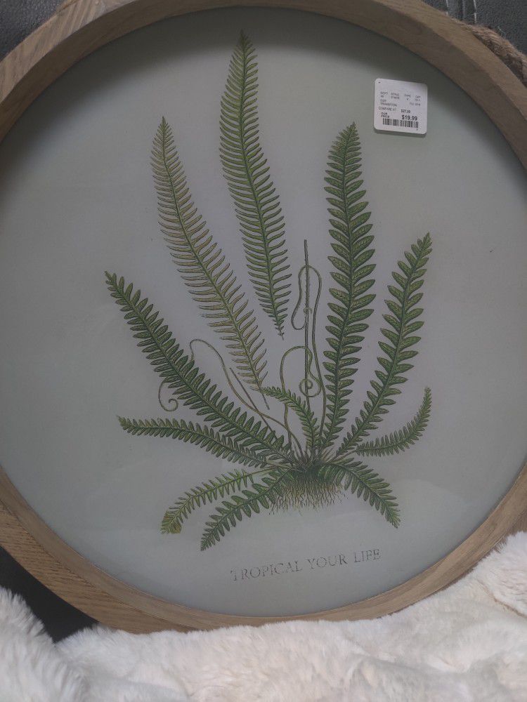 Wall Decor Fern With Rope Hanger