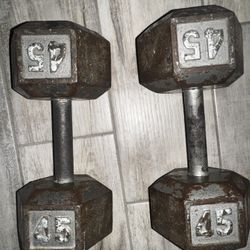 45 dumbell pair