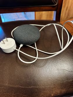 Nest mini